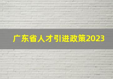 广东省人才引进政策2023