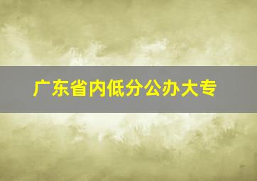 广东省内低分公办大专