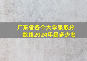 广东省各个大学录取分数线2024年是多少名