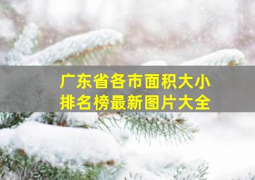 广东省各市面积大小排名榜最新图片大全