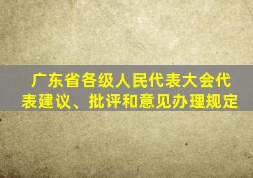 广东省各级人民代表大会代表建议、批评和意见办理规定