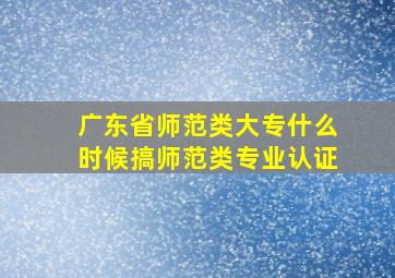 广东省师范类大专什么时候搞师范类专业认证