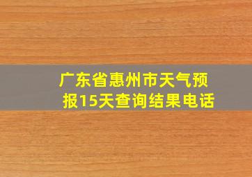 广东省惠州市天气预报15天查询结果电话