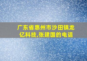 广东省惠州市沙田镇龙亿科技,张建国的电话