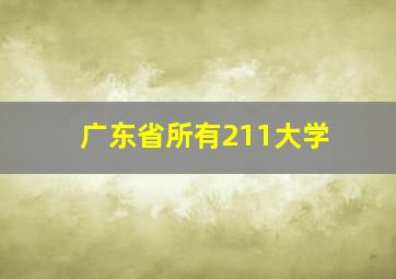 广东省所有211大学