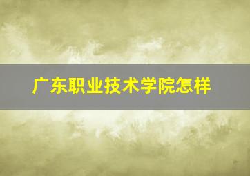 广东职业技术学院怎样