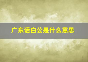 广东话白公是什么意思