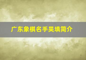 广东象棋名手吴填简介