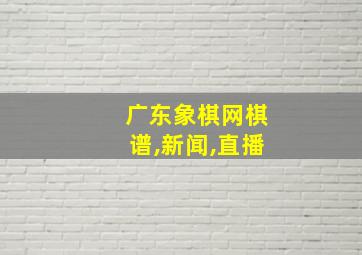 广东象棋网棋谱,新闻,直播