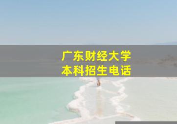 广东财经大学本科招生电话