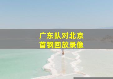 广东队对北京首钢回放录像