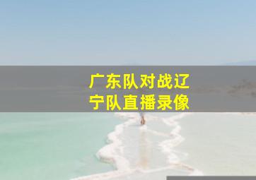 广东队对战辽宁队直播录像