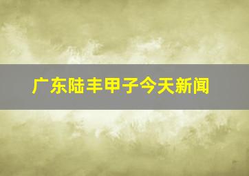 广东陆丰甲子今天新闻