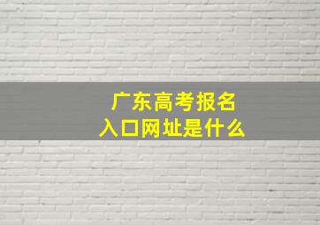 广东高考报名入口网址是什么