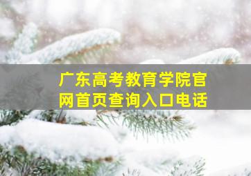 广东高考教育学院官网首页查询入口电话