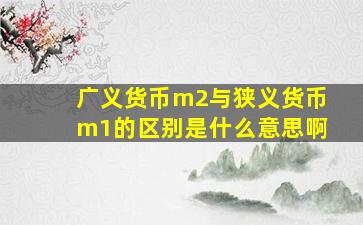 广义货币m2与狭义货币m1的区别是什么意思啊