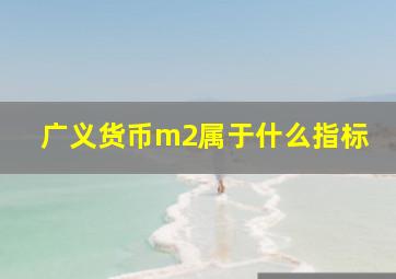 广义货币m2属于什么指标