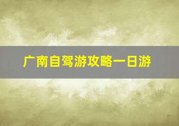 广南自驾游攻略一日游