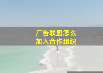 广告联盟怎么加入合作组织