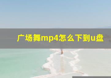 广场舞mp4怎么下到u盘