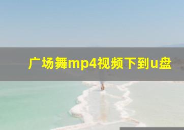 广场舞mp4视频下到u盘