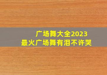 广场舞大全2023最火广场舞有泪不许哭