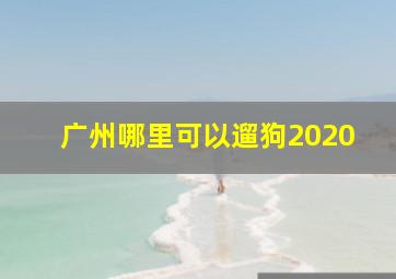 广州哪里可以遛狗2020