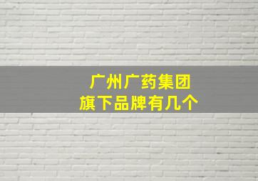 广州广药集团旗下品牌有几个