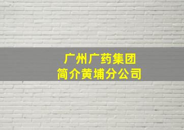 广州广药集团简介黄埔分公司