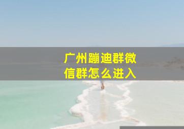 广州蹦迪群微信群怎么进入