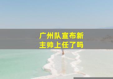 广州队宣布新主帅上任了吗