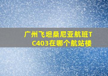 广州飞坦桑尼亚航班TC403在哪个航站楼