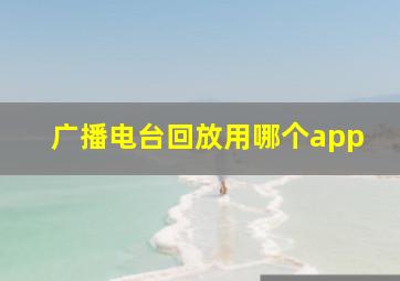 广播电台回放用哪个app