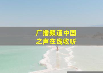 广播频道中国之声在线收听