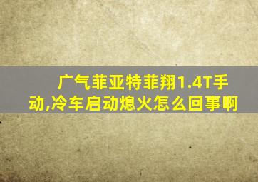 广气菲亚特菲翔1.4T手动,冷车启动熄火怎么回事啊