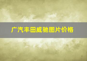 广汽丰田威驰图片价格