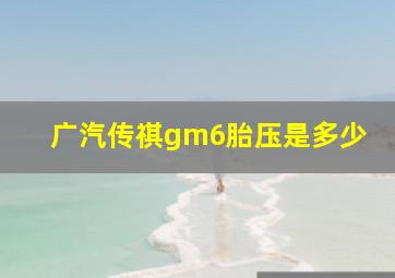 广汽传祺gm6胎压是多少