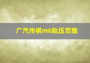 广汽传祺m6胎压范围