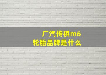 广汽传祺m6轮胎品牌是什么