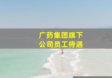 广药集团旗下公司员工待遇