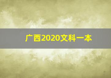 广西2020文科一本