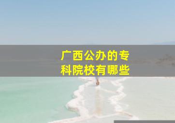 广西公办的专科院校有哪些