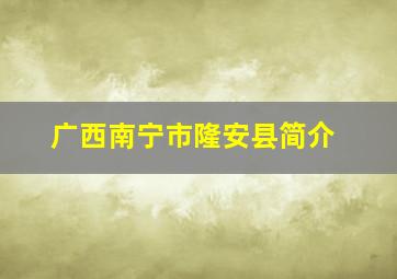 广西南宁市隆安县简介