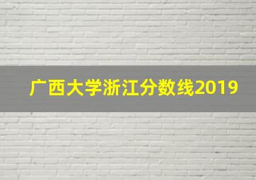 广西大学浙江分数线2019