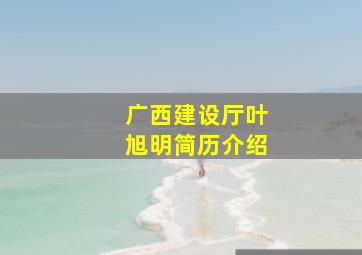 广西建设厅叶旭明简历介绍