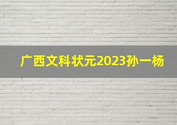 广西文科状元2023孙一杨