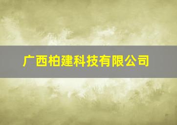 广西柏建科技有限公司