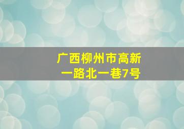 广西柳州市高新一路北一巷7号