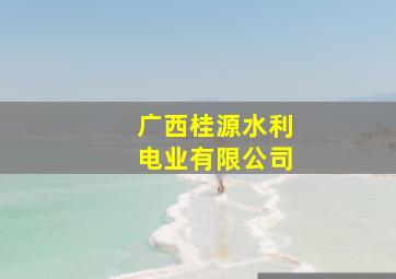 广西桂源水利电业有限公司