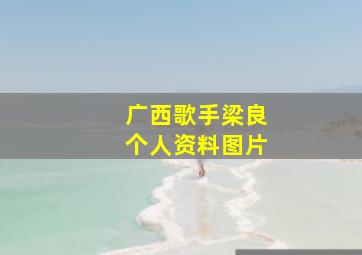 广西歌手梁良个人资料图片